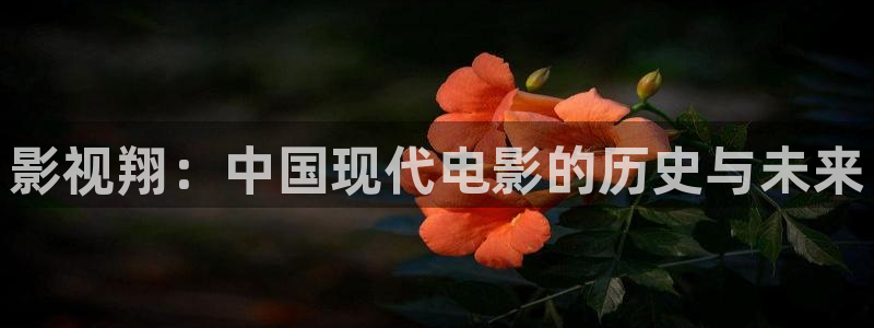 神马电影院6080：影视翔：中国现代电影的历史与未来
