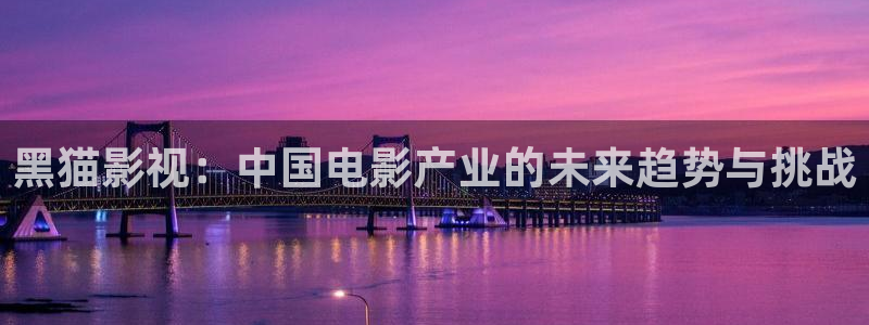 6080yy电影在线看伦理：黑猫影视：中国电影产业的未来趋势与挑战