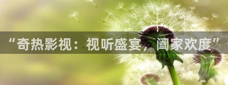 6080影院伦理片：“奇热影视：视听盛宴，阖家欢度”